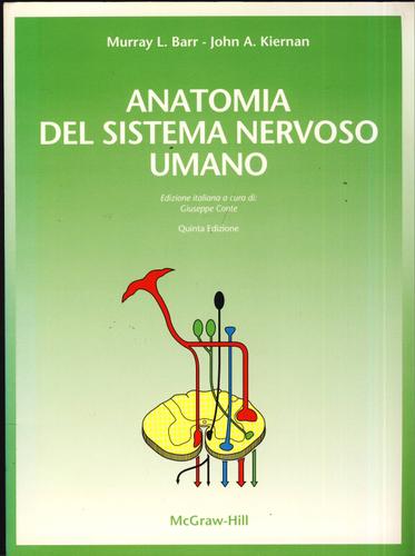 Segnaposto