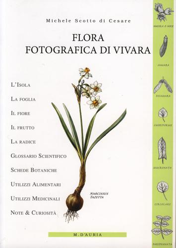 Segnaposto